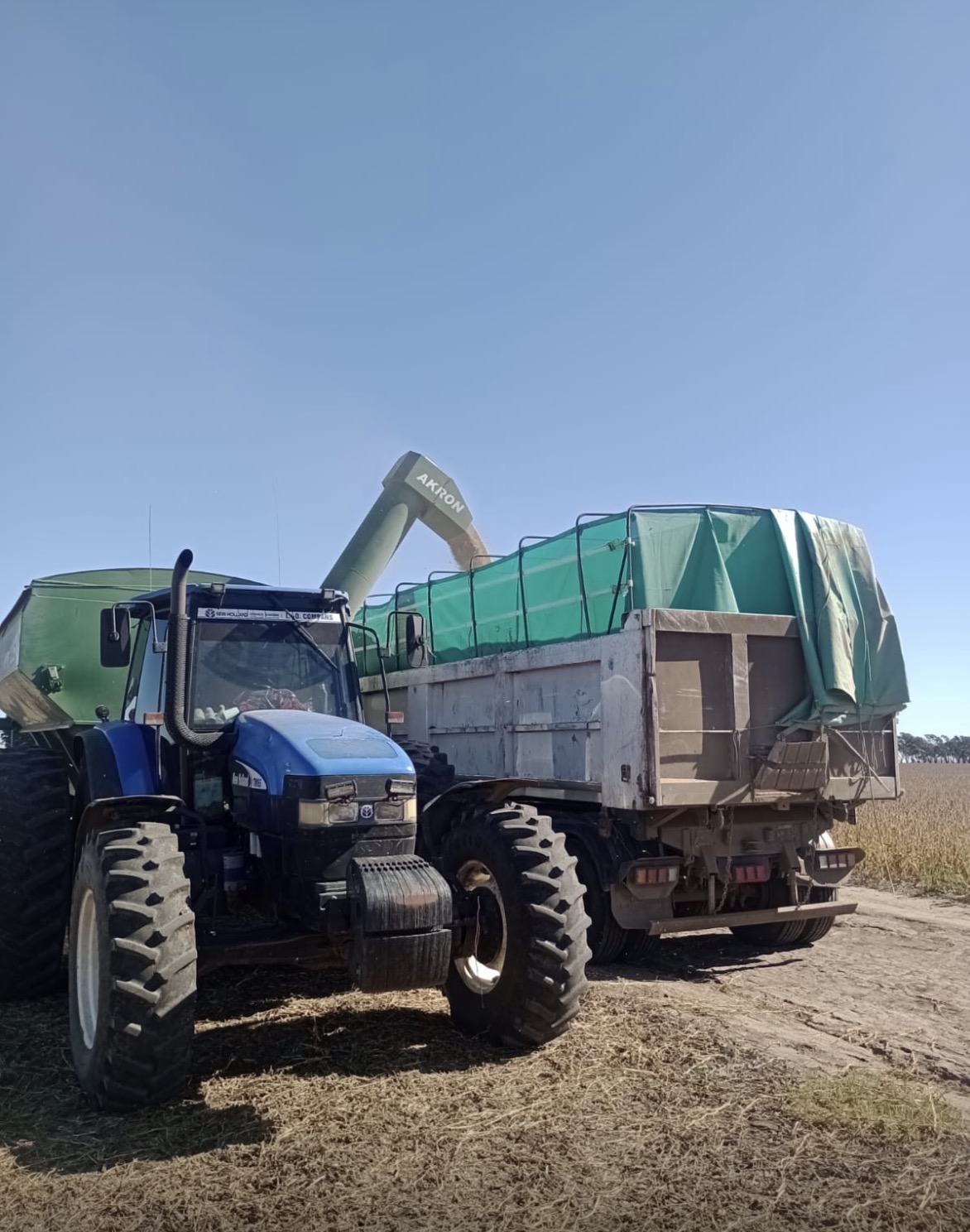 Transporte de cereales y granos